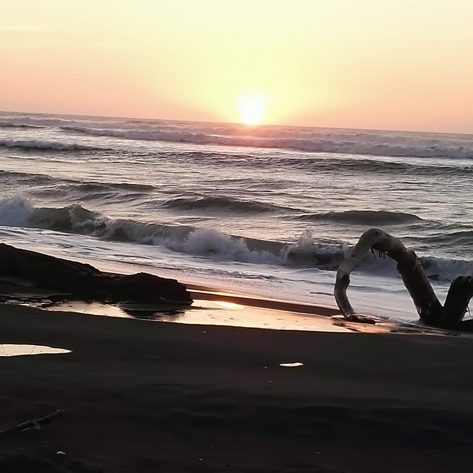 2019 : a year in review